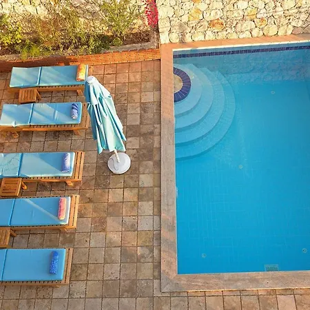 Kaktus Villa *