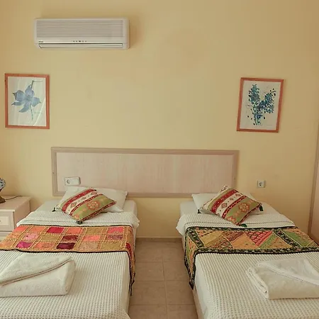 Kaktus * Kalkan