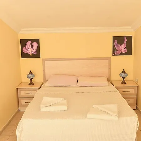 Kaktus
